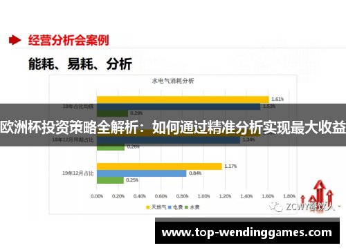 欧洲杯投资策略全解析：如何通过精准分析实现最大收益