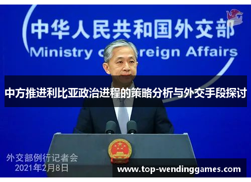 中方推进利比亚政治进程的策略分析与外交手段探讨