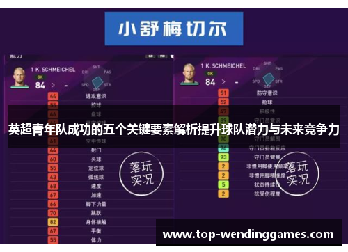 英超青年队成功的五个关键要素解析提升球队潜力与未来竞争力