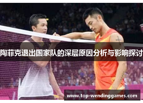 陶菲克退出国家队的深层原因分析与影响探讨